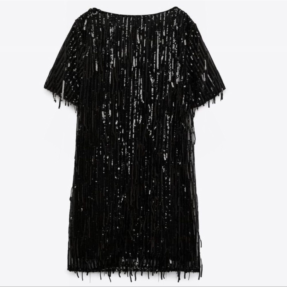Zara Black Sequin Fringed Mini Dress
Short Sleeve Dress - Picture 4 of 11